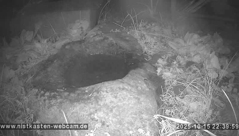 nistkasten-webcam nistkasten-webcam